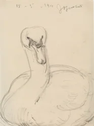 Cigno