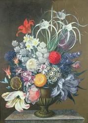 Immagine sconosciuta