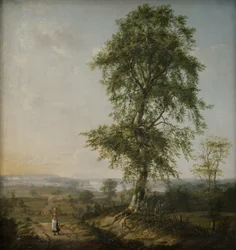 Paesaggio con un grande albero