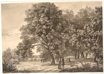 Vista di una strada in un bosco vicino a Sorø, Selandia