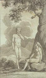 Illustrazione per 