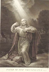 Cristo nel Giardino del Getsemani