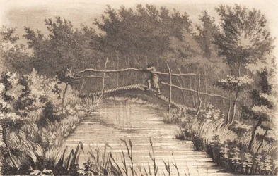 Parte del giardino di Sanderumgaard