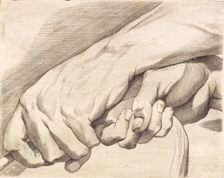 Studio di due mani che tengono una corda