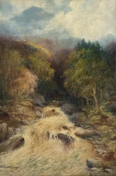 Una foresta di montagna