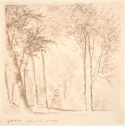 Paesaggio forestale