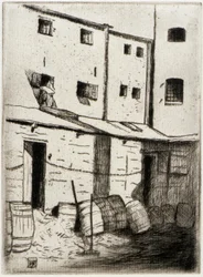 Vicolo dei procioni