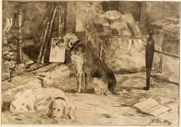 Cani sul focolare n. 1