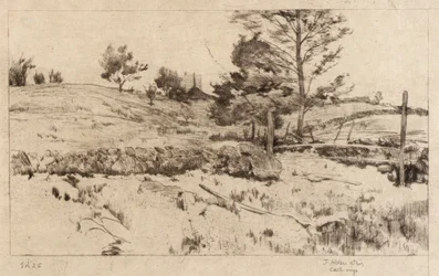 Paesaggio (schizzo di campi)