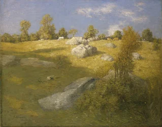 Pascolo montano