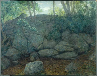 Rocce nel bosco