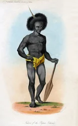 Nativo delle isole Papua, c1840