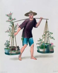 Un portatore con alberi da frutto e fiori