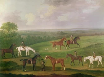 Cavalli in Esercizio