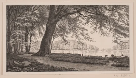 Pomeriggio di primavera al lago Fuglesang nel Dyrehaven