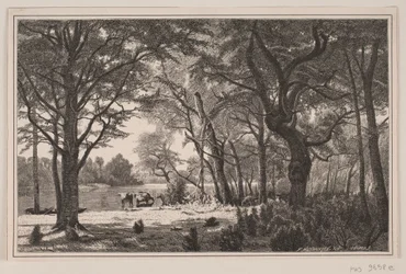 Paesaggio forestale dello Jutland