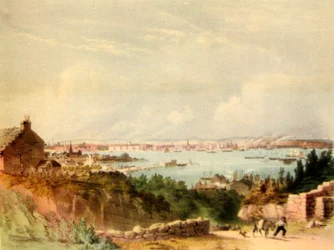 Liverpool nel 1846, 1942