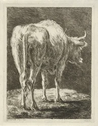 Mucca in un paesaggio