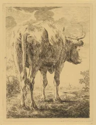 Mucca in un paesaggio