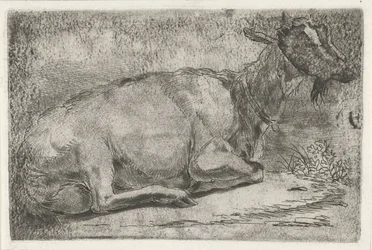 Capra sdraiata