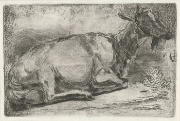 Capra sdraiata