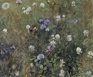Trifoglio in fiore
