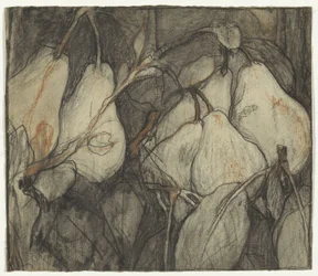 Pere Duchesse d