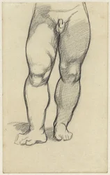 Parte inferiore del corpo di un bambino nudo