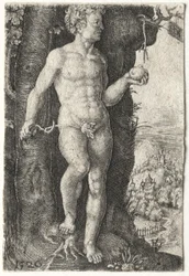 Adamo
