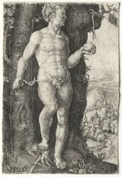 Adamo, 1526