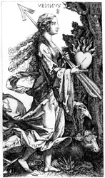 Venere, c1520s 1849