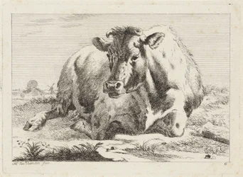 Mucca sdraiata
