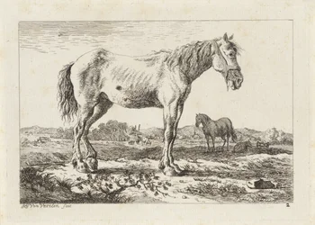 Cavallo in piedi in un paesaggio