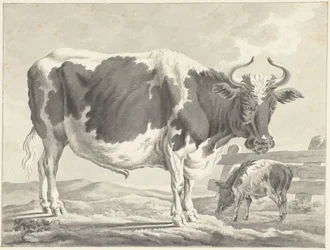 Toro pezzato nero e un maiale