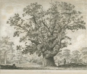 Needwood - Swilcar Oak, c.1820-1850