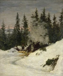 Bruciatura del carbone