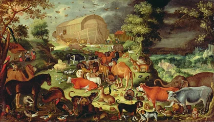 Immagine sconosciuta