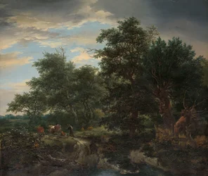 Scena di foresta