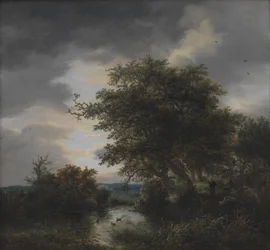 Querce vicino a uno stagno