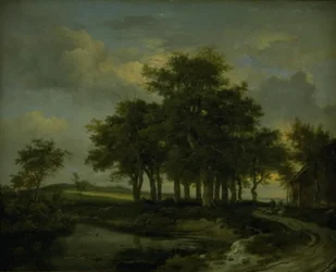 Querce vicino a una strada, sera