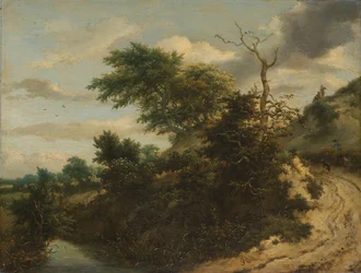 Sentiero sabbioso nelle dune