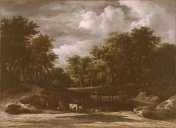 Paesaggio boschivo