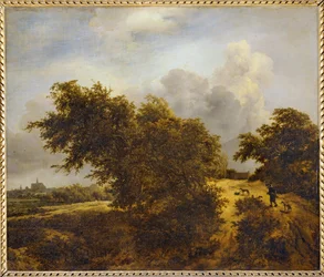 Sentiero tra le dune di Haarlem o Le Buisson ...