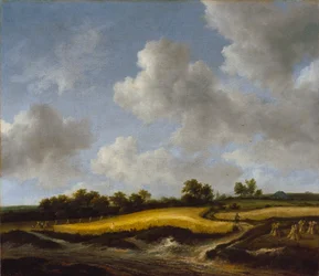 Paesaggio con campo di grano