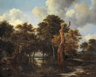 Paesaggio paludoso boscoso con albero morto, ca. 1665