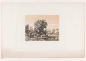 Mucche che riposano vicino all