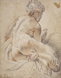 Nudo femminile, visto di spalle
