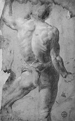 Nudo maschile in piedi