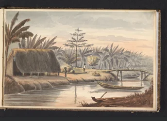 Plantage Visserszorg con campo di banane