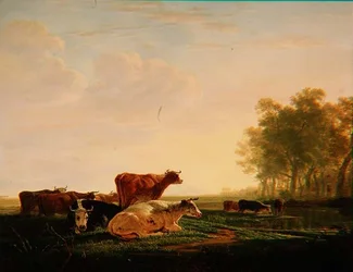 Bovini in un paesaggio